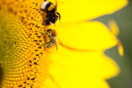 La série de l'été