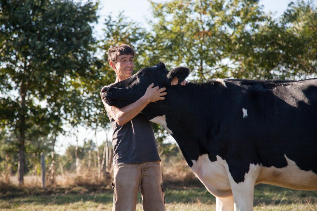 Retour sur la Journée Technique Bovins Lait