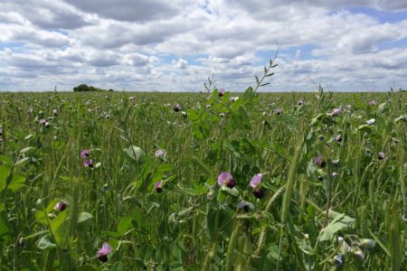 Concours Photos - Résultats