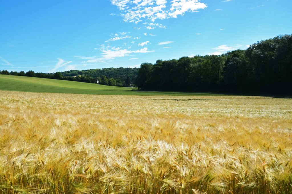 Ferme France et Pour une Agriculture du Vivant
