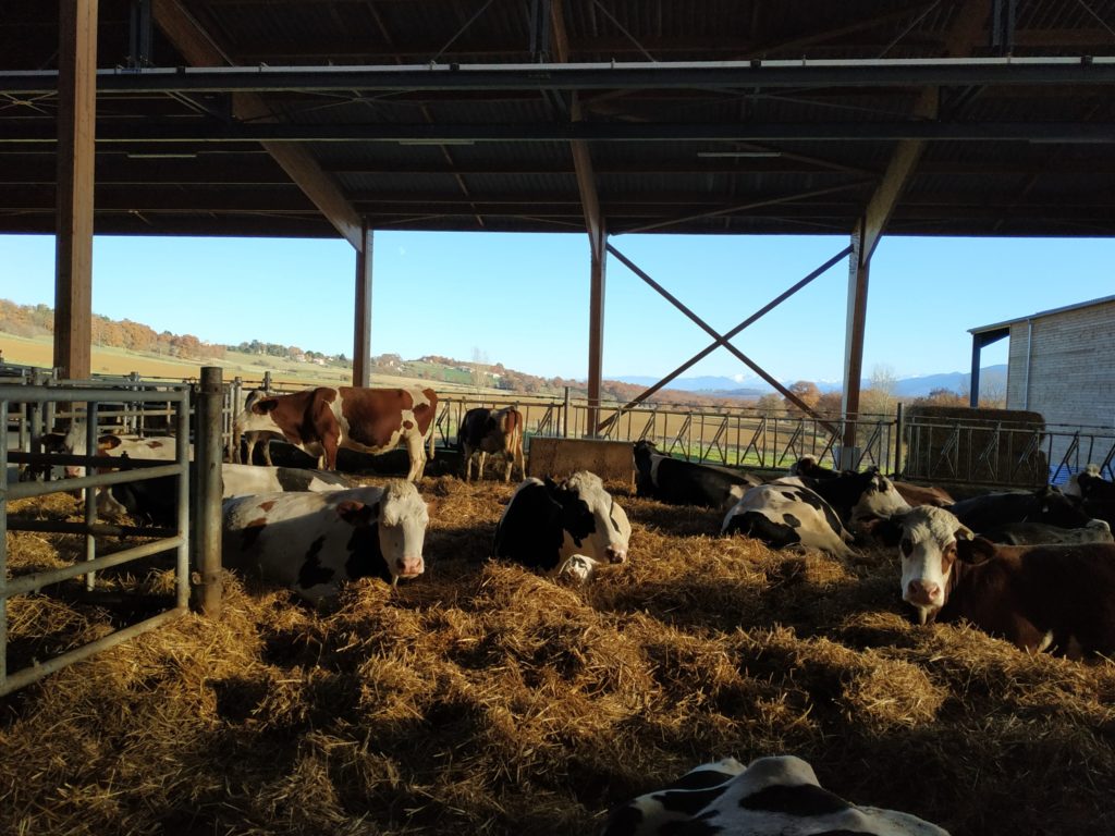 Retour sur la Journée Technique Protéines végétales & animales en Occitanie