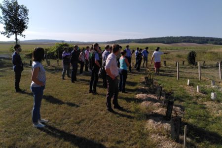 Commission Filières : entre visites et échanges