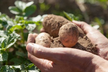 REX - U Enseigne partage son expérience