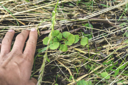 Lancement du Comité Scientifique