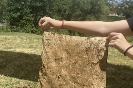 Opération collective "Plante ton Tote Bag"