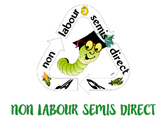 Logo Association NLSD