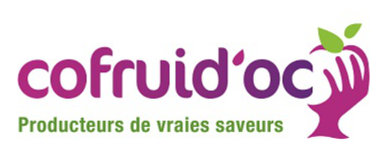 Logo COFRUIDOC