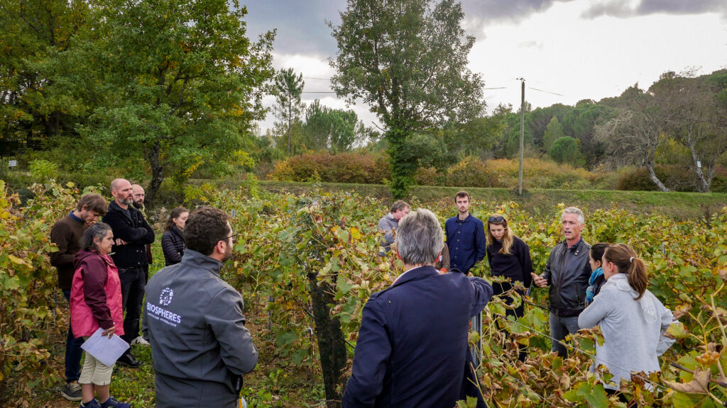 Test de l'Indice de Régénération viticulture à la commission filière