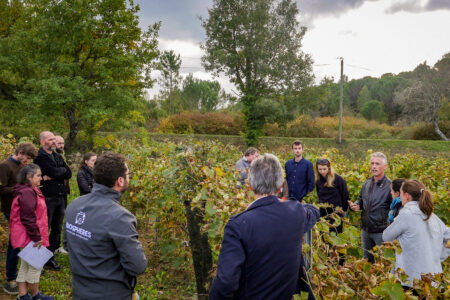 Test de l'Indice de Régénération viticulture à la commission filière