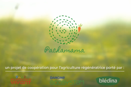 Pachamama : projet de coopération pour l'agriculture régénératrice