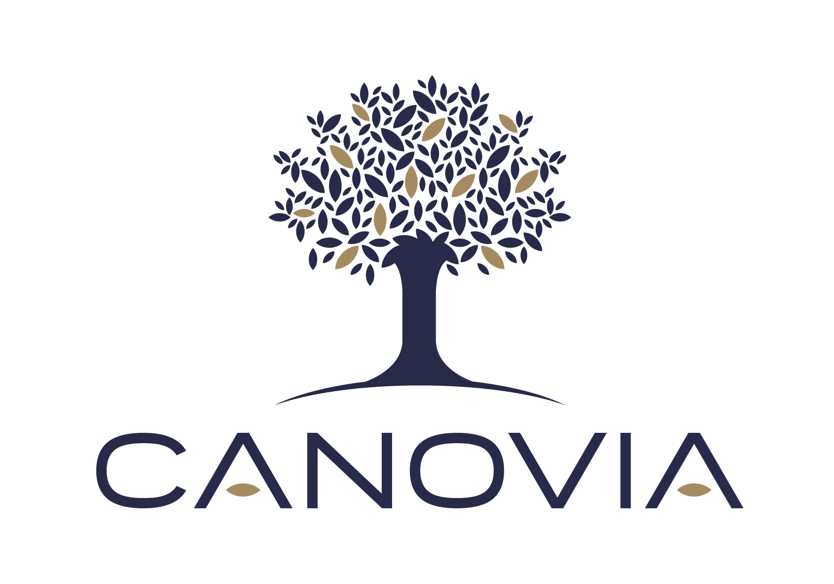Canovia Logotype2020 300