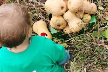Les Cueillettes Blédina