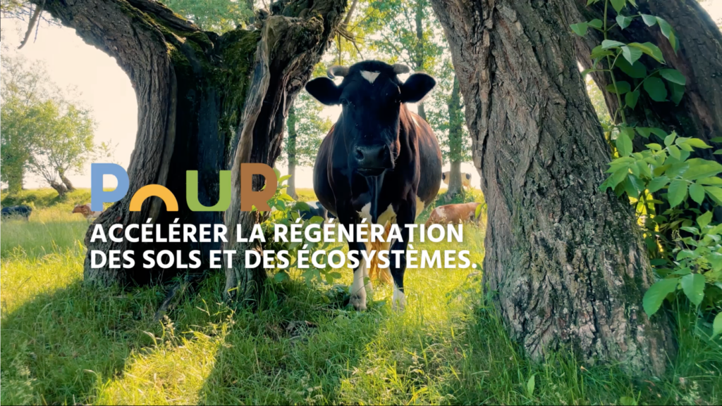 L'Indice de Régénération Bovin