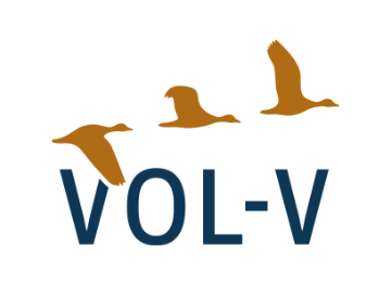 Logo Vol V 02