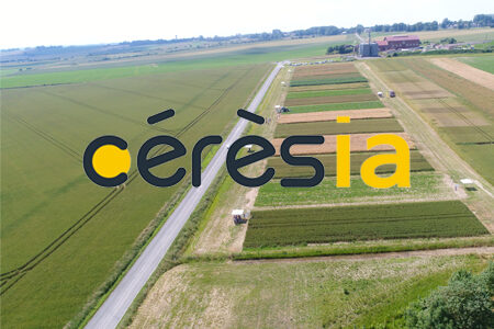 Ceresia Site