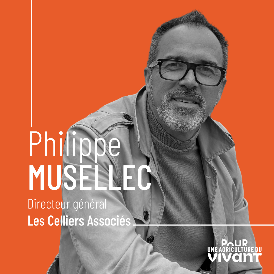 Podcast DDV Philippe Musellec - Les Celliers Associés