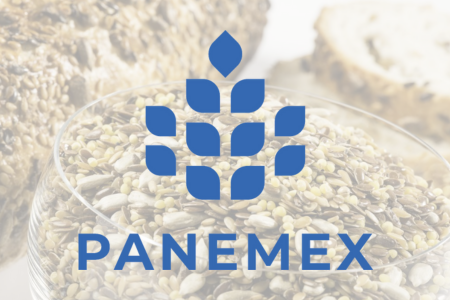 Panemex Logo