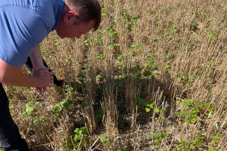 Hervé Charpentier BRF 5 pionnier en agroécologie sol couverts végétaux luzerne