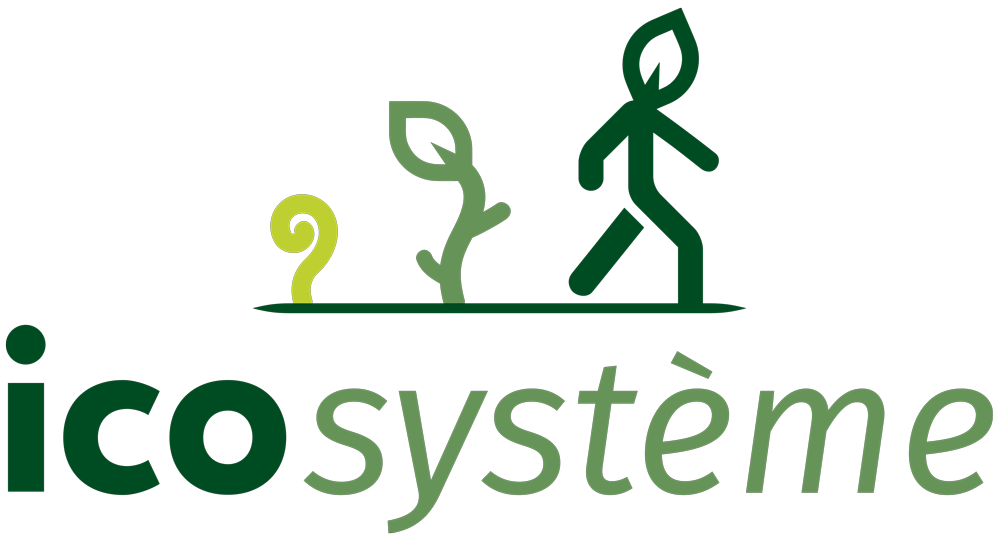 Logo Icosysteme