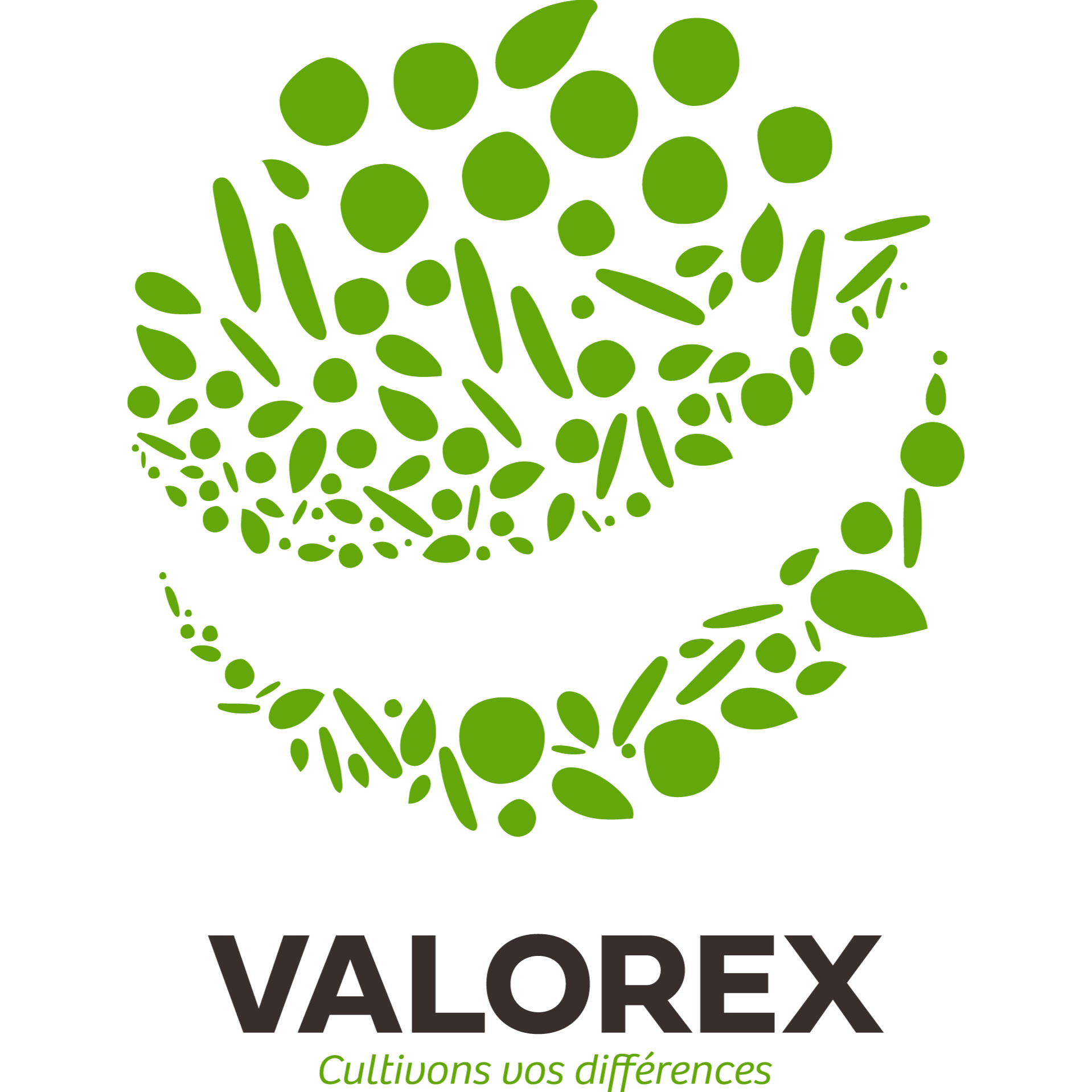 Valorex