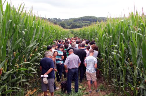 Leviers d'action Pour une agriculture du vivant