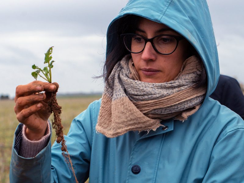 L’Indice de Régénération Pour une agriculture du vivant