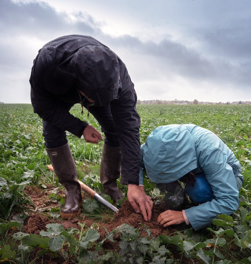 Le programme Technicien du Vivant Pour une agriculture du vivant