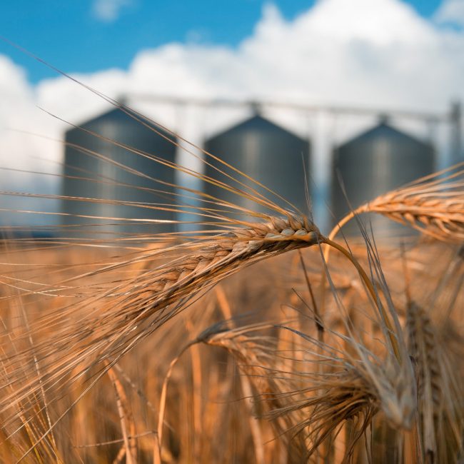 Les adhérents Pour une agriculture du vivant