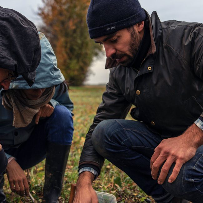 Conseil, formation et services Pour une agriculture du vivant