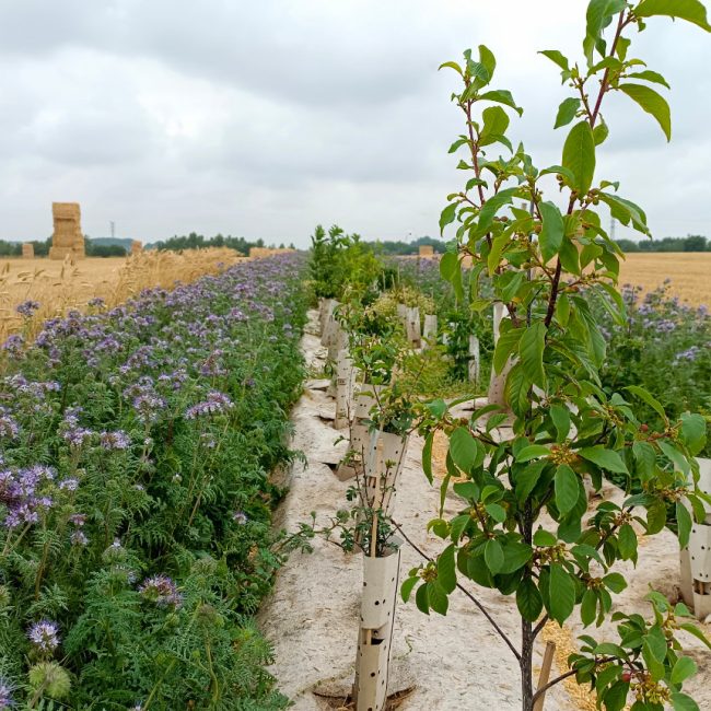 Les adhérents Pour une agriculture du vivant