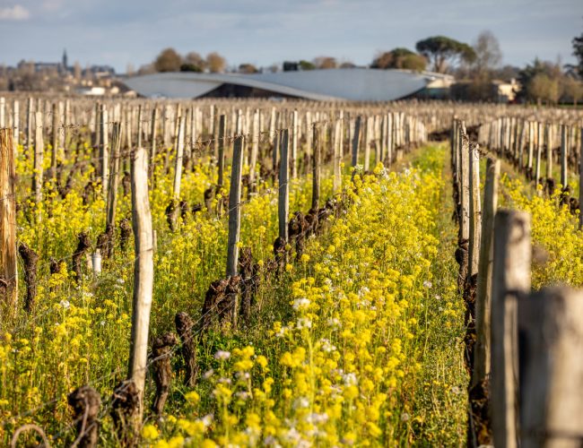 Transition agroécologique Pour une agriculture du vivant