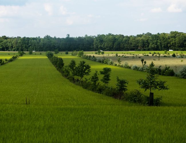 L'agroécologie Pour une agriculture du vivant