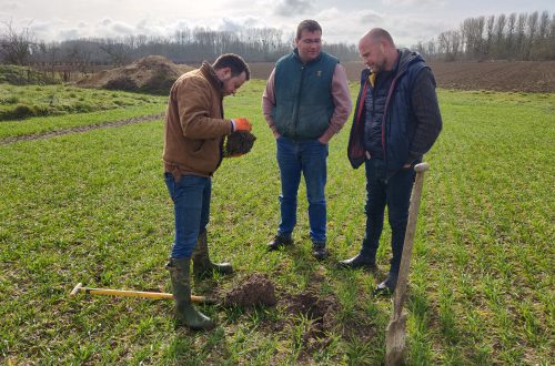 Pachamama Déployer Agroécologie à Grande échelle Agricultureduvivant 01