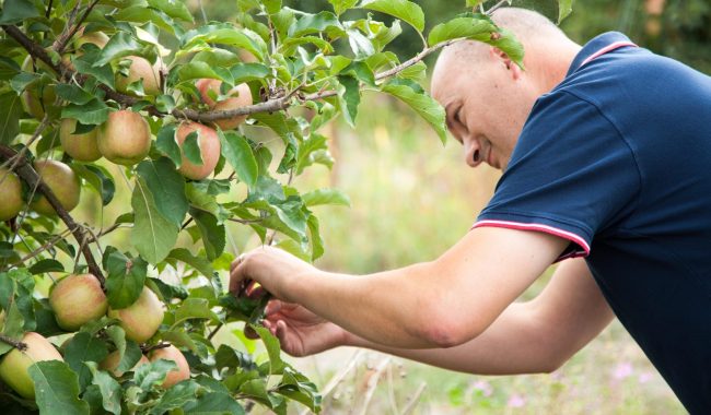 Pour Une Agriculture Du Vivant Agriculteurs Ambassadeurs